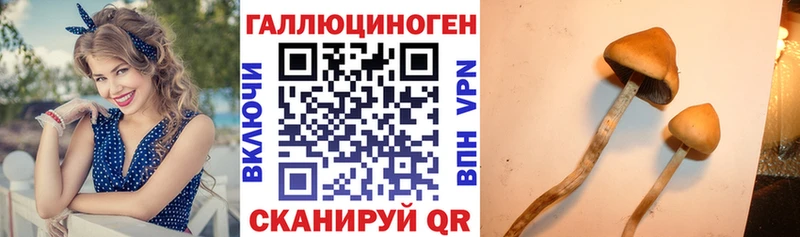 Галлюциногенные грибы мухоморы Подпорожье