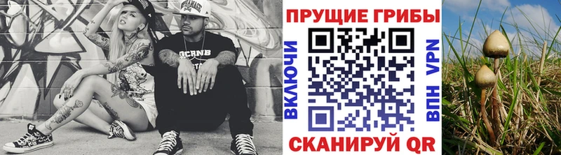 купить   Подпорожье  Галлюциногенные грибы прущие грибы 